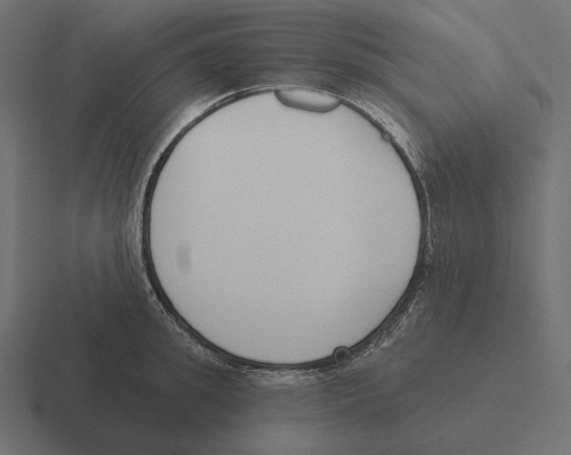 X0000116300949200912291429