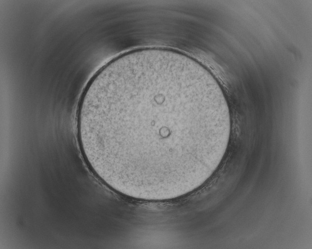 X0000116300950200912291429