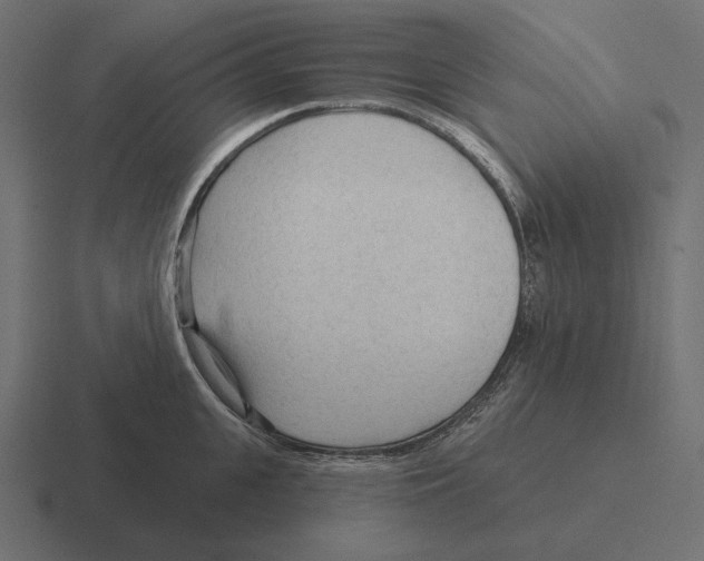 X0000116300951200912291429