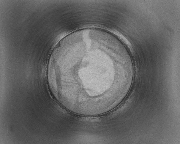 X0000116300953200912291429