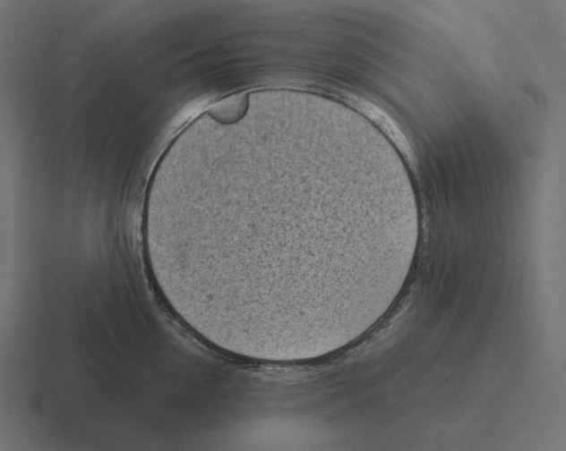 X0000116300954200912291429