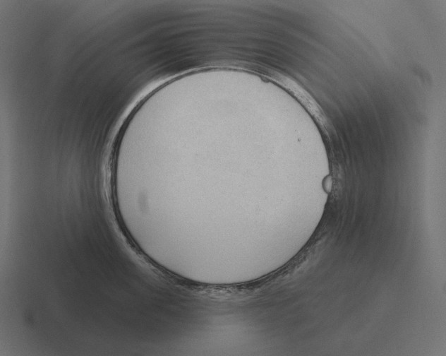 X0000116300955200912291429