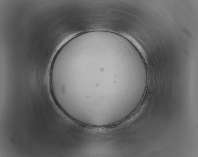 X0000116300957200912291429