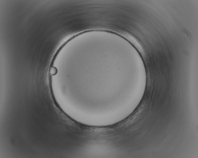 X0000116300958200912291429