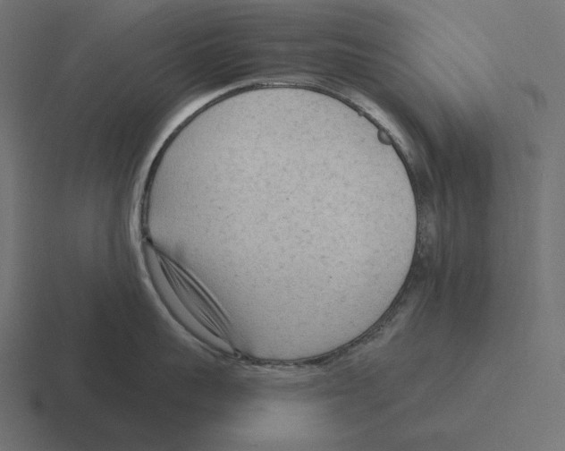 X0000116300959200912291429