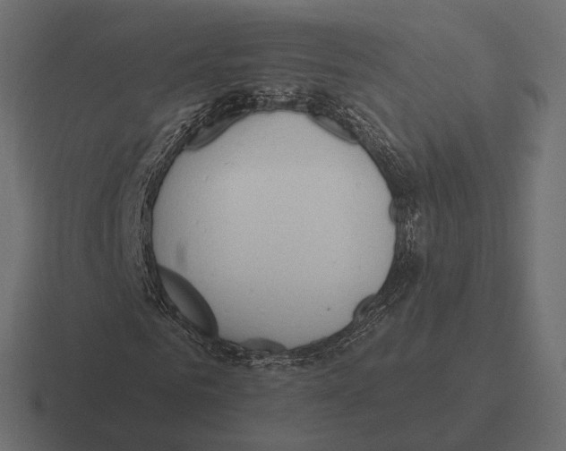 X0000116300961200912291428