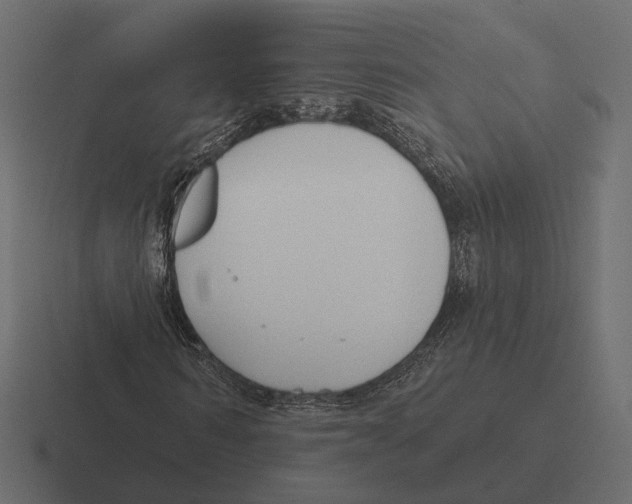 X0000116300962200912291428