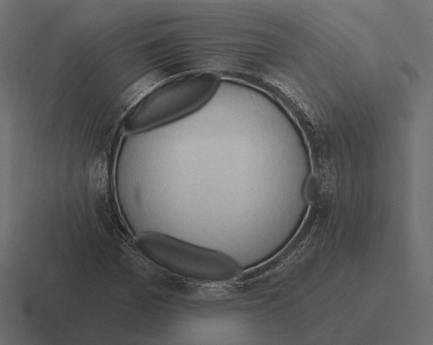 X0000116300969200912291428