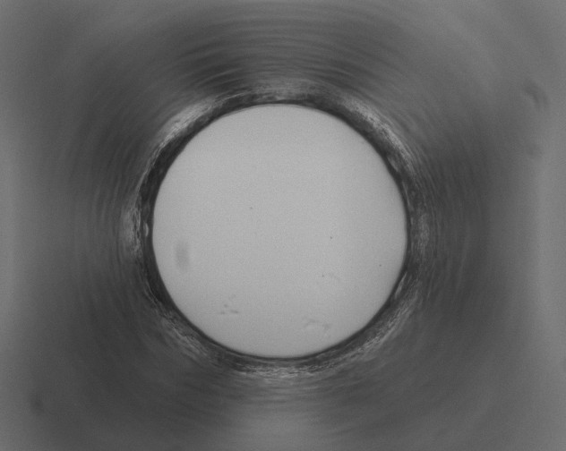 X0000116300970200912291428