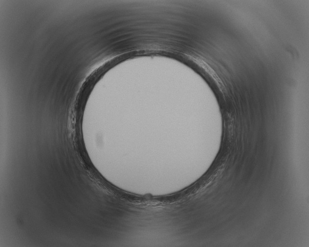 X0000116300971200912291428