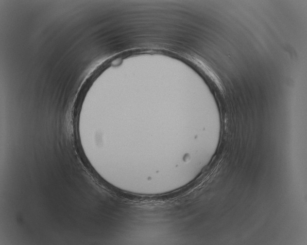 X0000116300972200912291428