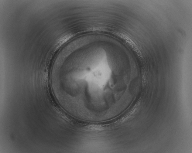 X0000116300977200912291428