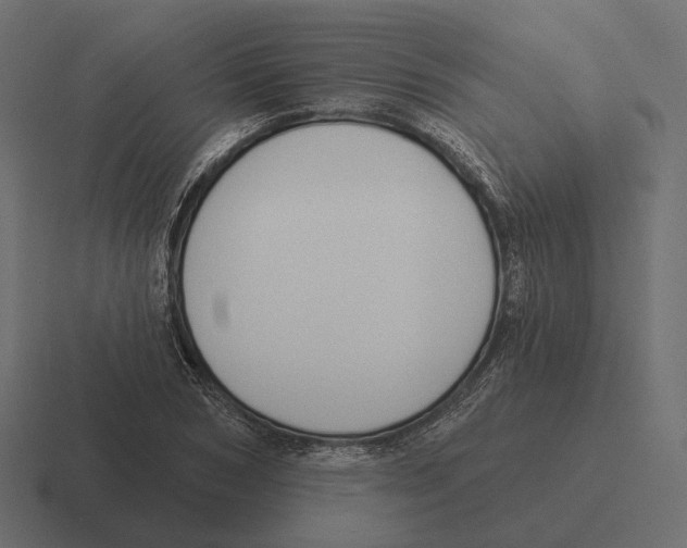 X0000116300978200912291428