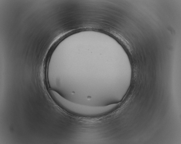 X0000116300983200912291428