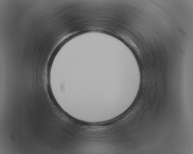 X0000116300984200912291428