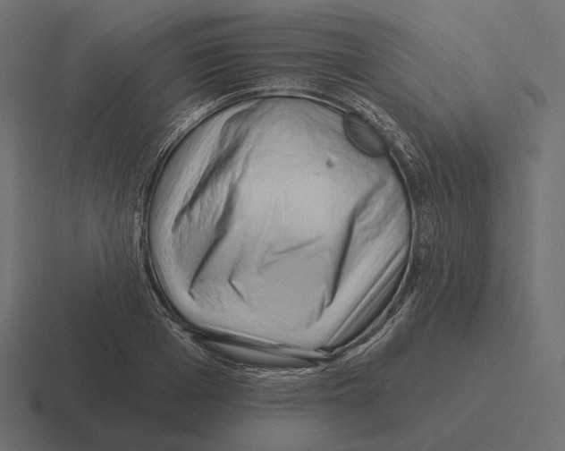 X0000116300985200912291428