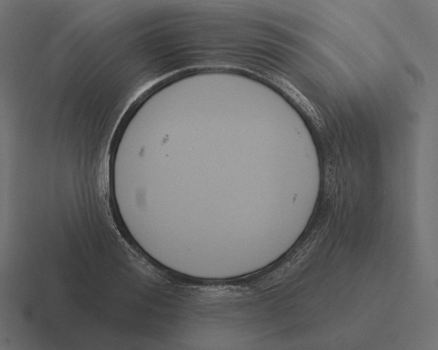 X0000116300988200912291428