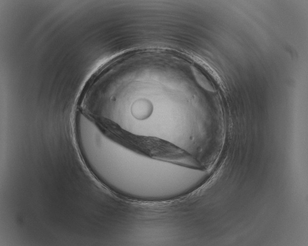 X0000116300989200912291428