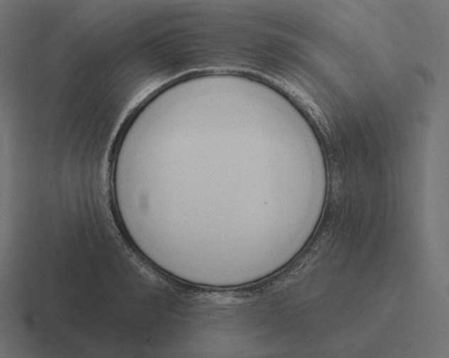 X0000116300990200912291428