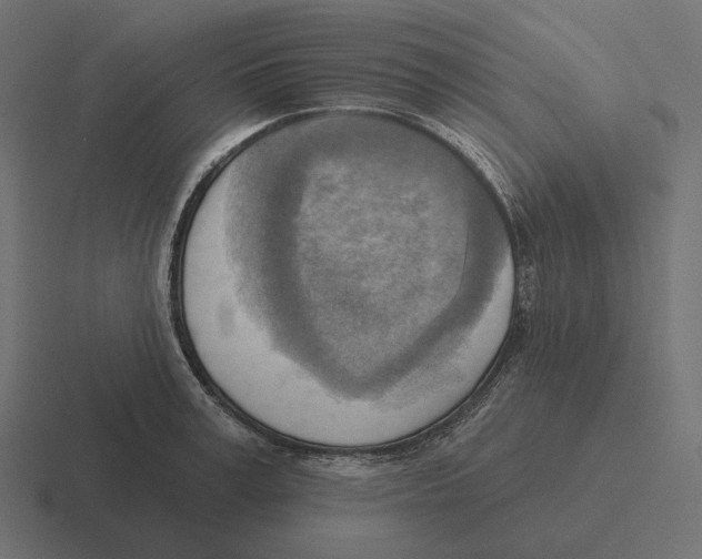 X0000116300995200912291428