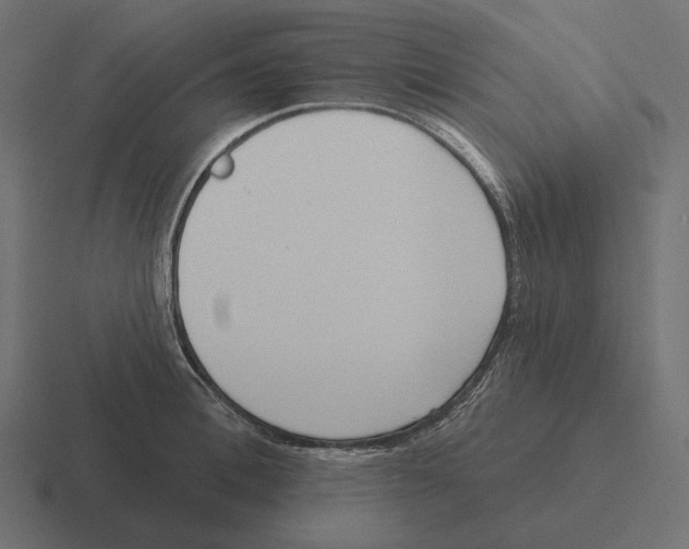 X0000116300996200912291428