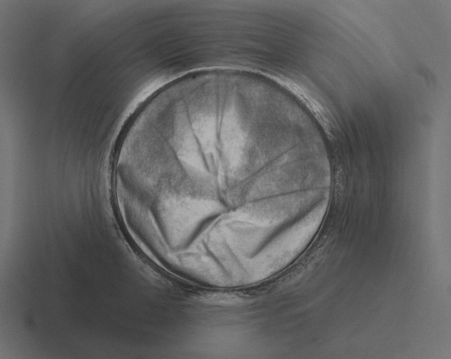 X0000116300998200912291428