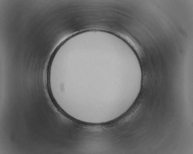 X0000116300999200912291428