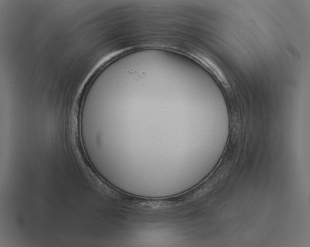 X0000116301000200912291428