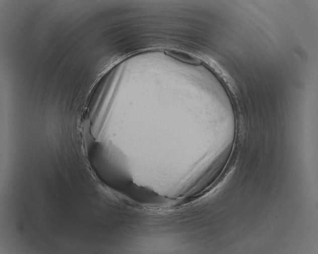 X0000116301001200912291428