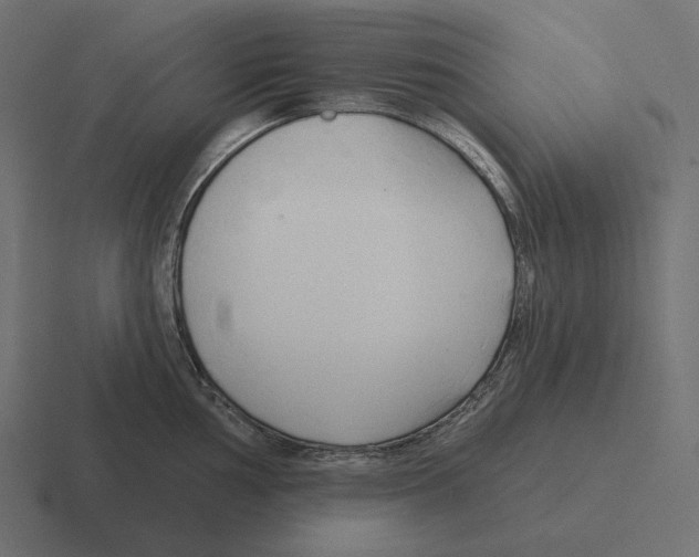 X0000116301002200912291428