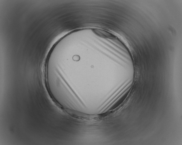 X0000116301003200912291428