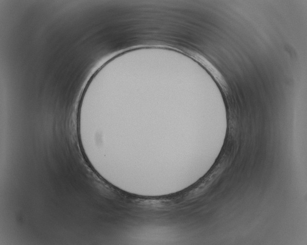 X0000116301004200912291428