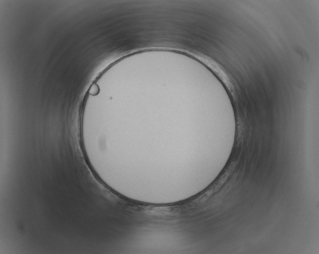 X0000116301006200912291428