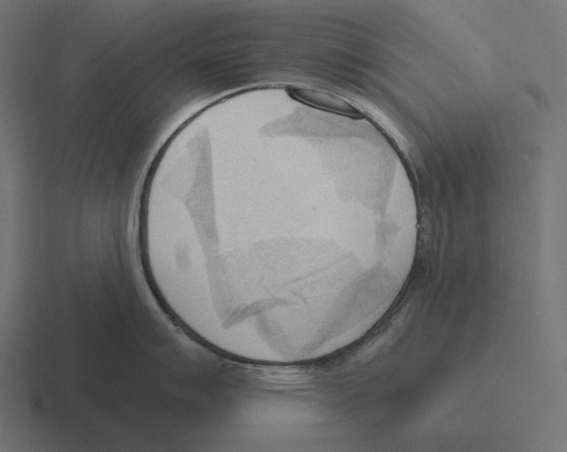 X0000116301007200912291428