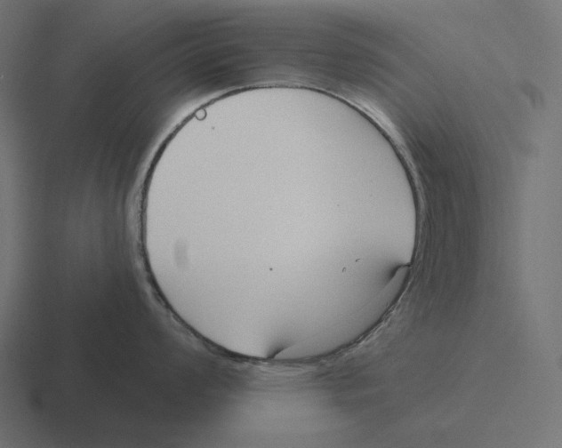 X0000116301008200912291428