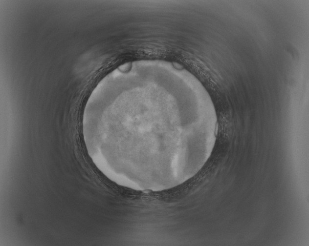 X0000116301009200912291427