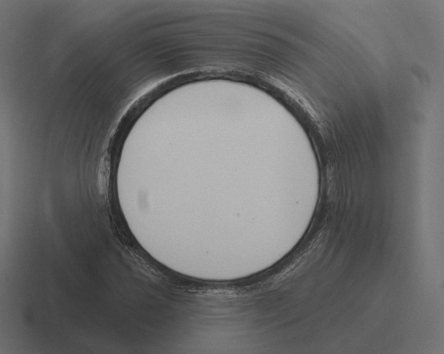 X0000116301021200912291427