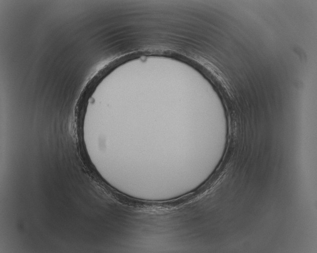 X0000116301022200912291427