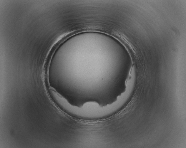 X0000116301024200912291427