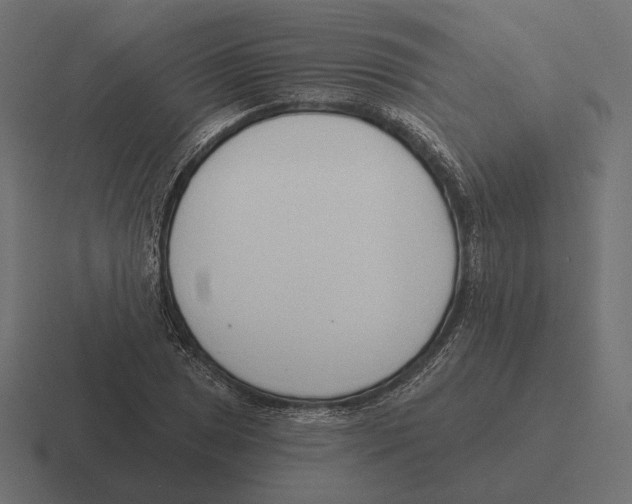 X0000116301025200912291427