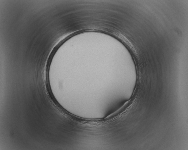 X0000116301028200912291428