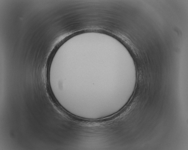 X0000116301030200912291428