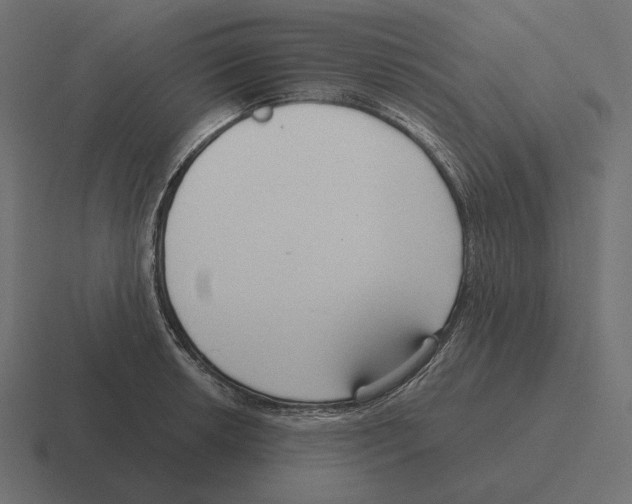 X0000116301042200912291428