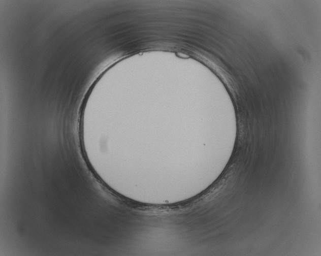 X0000116301050200912291428