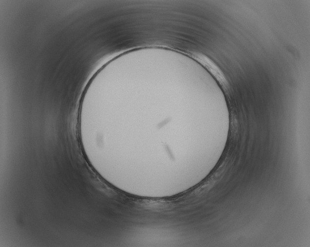 X0000116301052200912291428