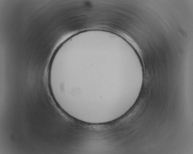 X0000116301053200912291428