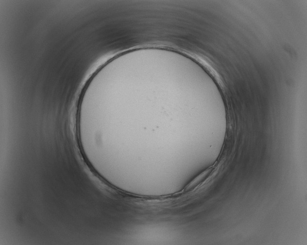 X0000116301054200912291428