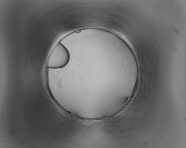 X0000116301056200912291428