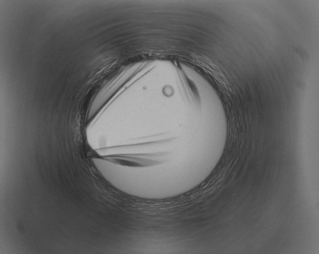 X0000116301060200912291427