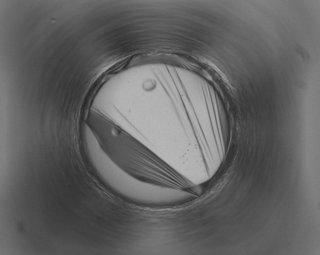 X0000116301065200912291427